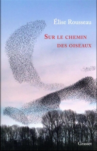 Sur le chemin des oiseaux: Récit