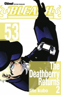 Bleach Vol.53