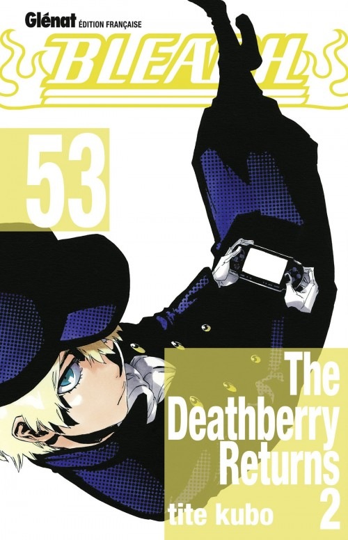 Bleach Vol.53