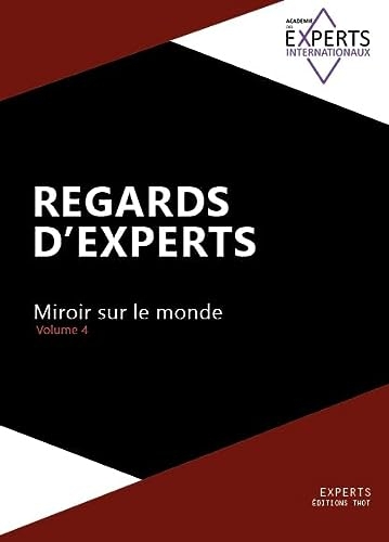 Regards d'experts, miroir sur le monde, volume 4