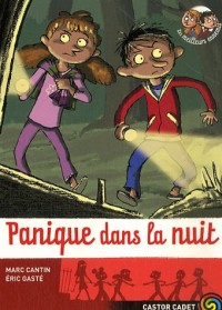 Panique dans la nuit