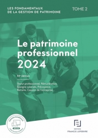 Patrimoine professionnel 2024