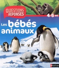 N09 - BEBES ANIMAUX