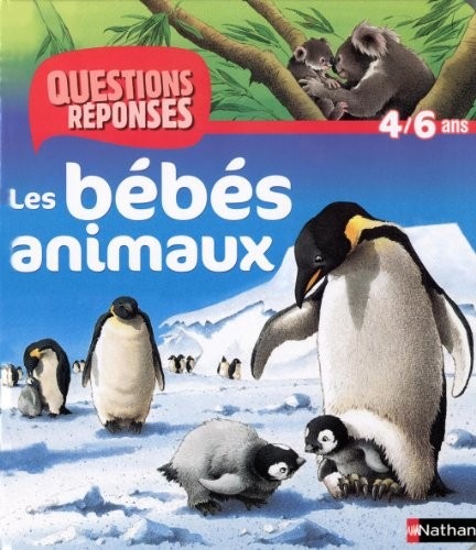 N09 - BEBES ANIMAUX