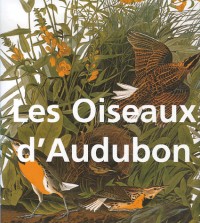 OISEAUX D AUDUBON