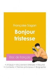 Réussir son Bac de français 2026 : Analyse du roman Bonjour tristesse de Françoise Sagan