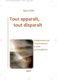 Tout apparaît, tout disparaît : Enseignements sur l'impermanence et la fin de la souffrance