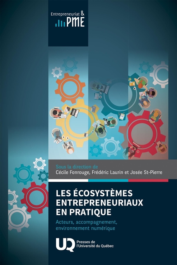 Les ecosystemes entrepreneuriaux en pratique: ACTEURS, ACCOMPAGNEMENT, ENVIRONNEMENT NUMÉRIQUE (0)
