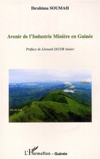 Avenir de l'industrie minière en Guinée