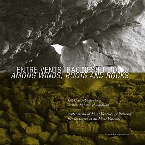 Entre vents, racines et rocs, par les traverses du Mont Ventoux
