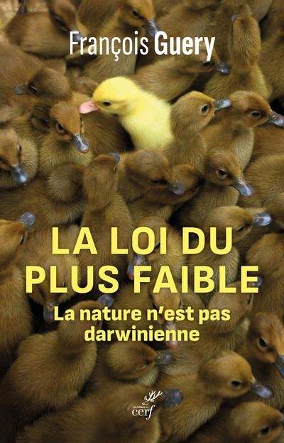 La loi du plus faible