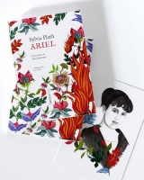 Ed. Especial Ariel