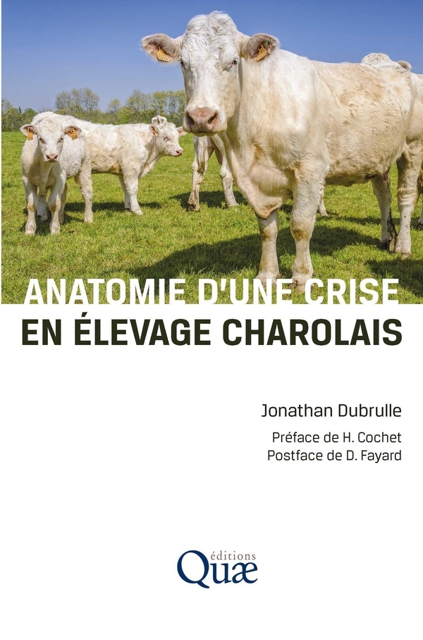 Anatomie d'une crise en élevage charolais