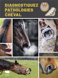 Diagnostiquer les principales pathologies de votre cheval. Une méthode simple et efficace