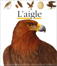 L'aigle