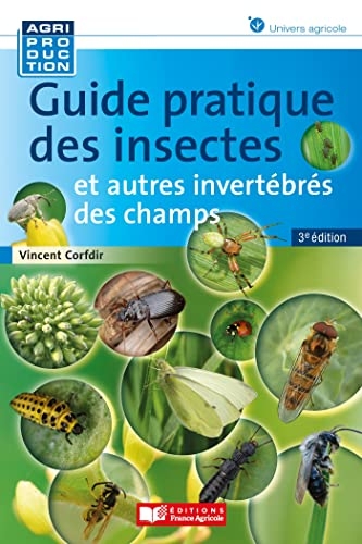 Guide pratique des insectes
