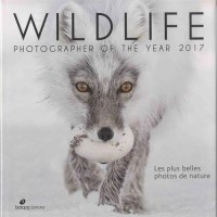 Wildlife, Photographer of The Year : Les plus belles photos de nature