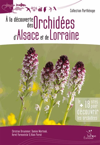 A la découverte des orchidées d'Alsace et de Lorraine