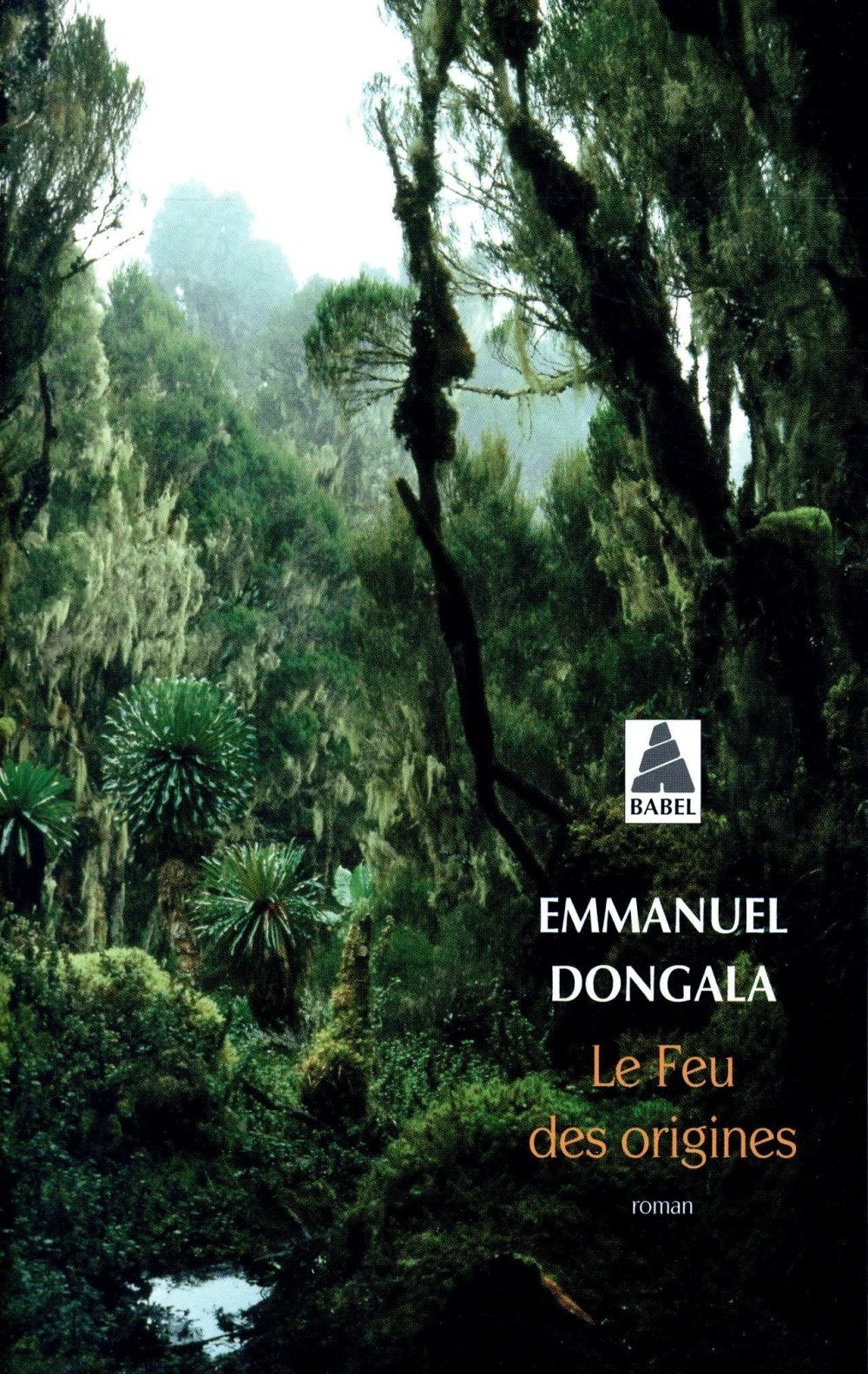 Le feu des origines