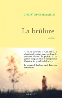 La brûlure : roman (Littérature Française)