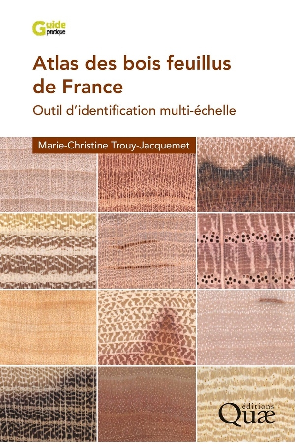 Atlas des bois feuillus de France: Outil d'identification multi-échelle