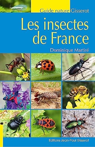 Les insectes de France