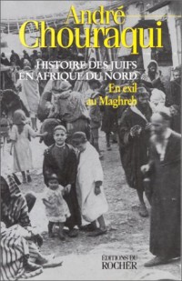 Histoire des Juifs en Afrique du Nord, tome 1 : En exil au Maghreb