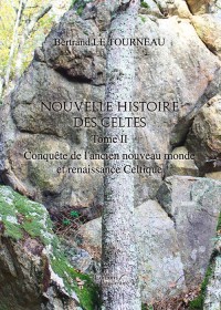 Nouvelle Histoire des Celtes - Tome II : Conquête de l'ancien nouveau monde et renaissance Celtique
