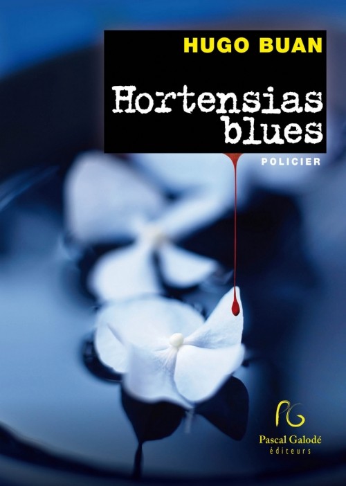 Hortensias blues