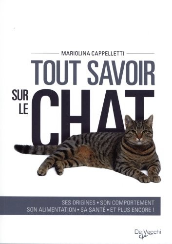 Tout savoir sur le chat