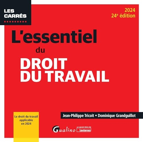 L'essentiel du droit du travail: Le droit du travail applicable en 2024 (2024)