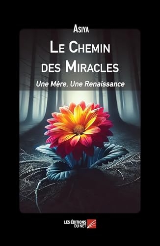 Le Chemin des Miracles