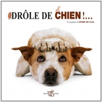 DROLE DE CHIEN