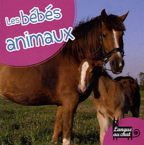 BEBES ANIMAUX