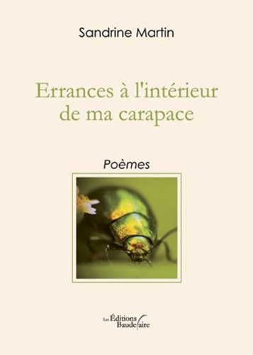 Errances à l'intérieur de ma carapace