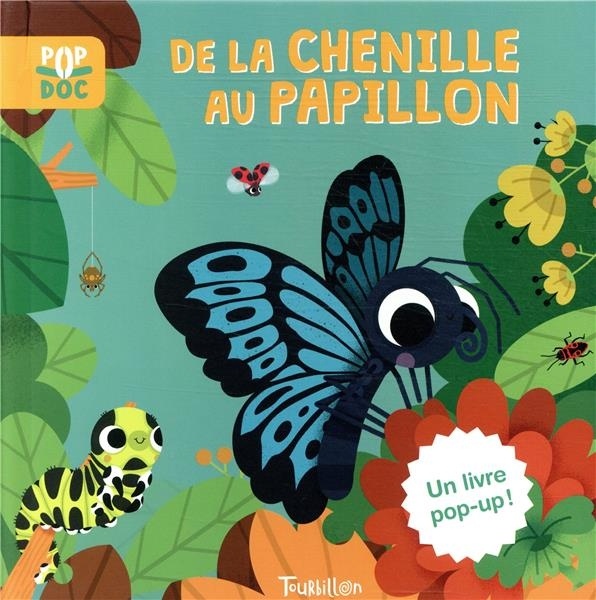 De la chenille au papillon