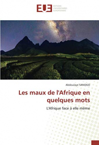 Les maux de l'Afrique en quelques mots: L'Afrique face à elle même