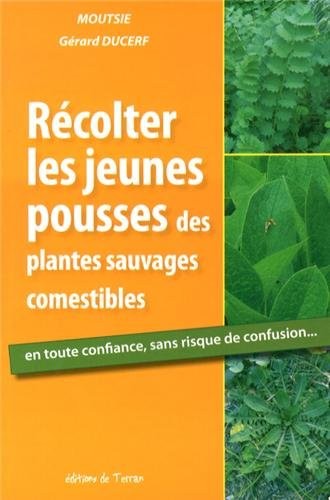 Récolter les jeunes pousses des plantes sauvages comestibles