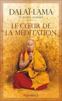 Le coeur de la méditation : Découvrir l'esprit le plus secret. Enseignement sur Les trois mots qui frappent le point vital de Patrul Rinpoché