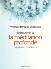 INITIATION A LA MEDITATION PROFONDE EN PLEINE