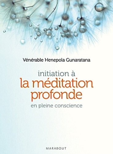 INITIATION A LA MEDITATION PROFONDE EN PLEINE