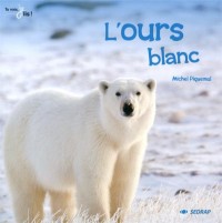 L'album l'ours blanc - tu vois je lis ! CP