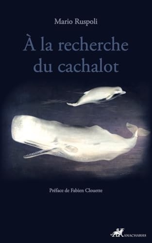 À la recherche du cachalot