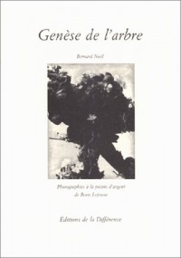 Genèse de l'arbre