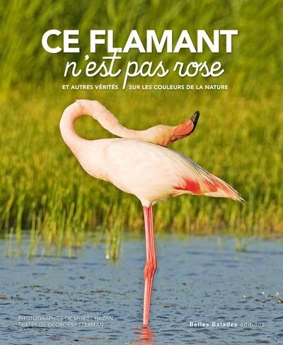 Ce Flamant N'Est Pas Rose !