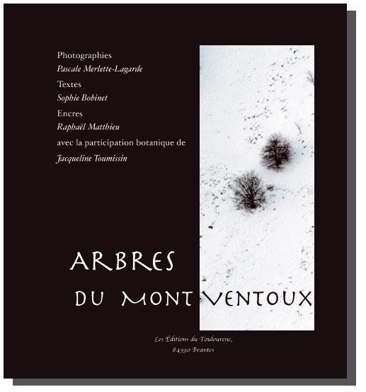 Arbres du mont ventoux