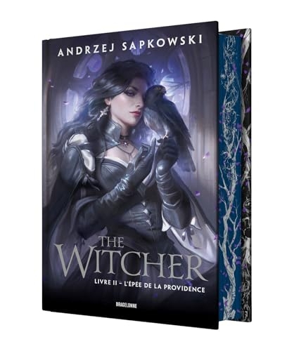 Sorceleur (Witcher), T2 : L'Epée de la Providence (édition reliée)