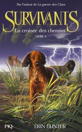 4. Survivants : La croisée des chemins (4)