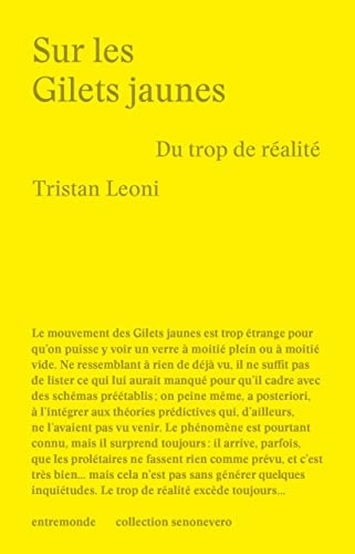 Sur les Gilets Jaunes: Du trop de réalité