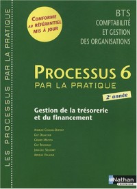 Processus 6 par la pratique : Gestion de la trésorerie et du financement BTS CGO 2e année
